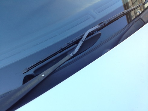 IMG_2605-2012-11-15-17-35.jpg