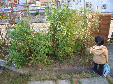 IMG_00023.jpg