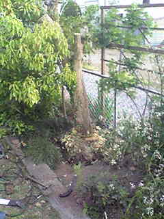 Image014.jpg