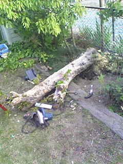 Image015.jpg