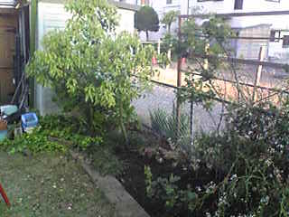Image017.jpg