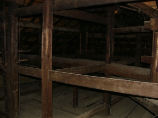 P1010894.jpg