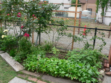 P1040046.jpg