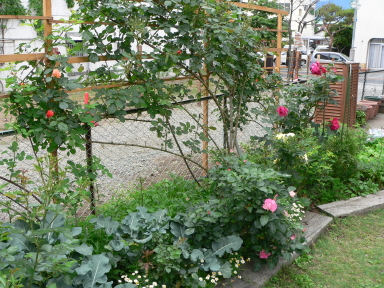 P1040049.jpg