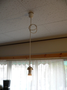 P1040735.jpg