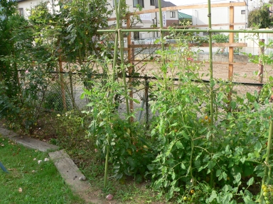 P1050014.jpg