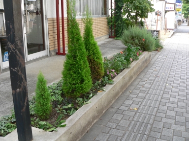 P1050016.jpg