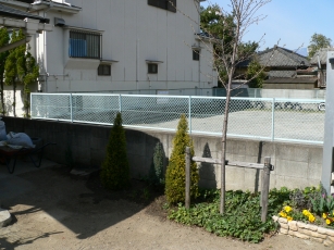 P1060178.jpg