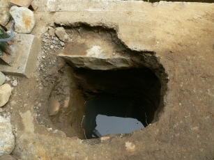 P1070177.jpg