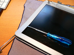 P1040804-2010-11-13-11-312.jpg