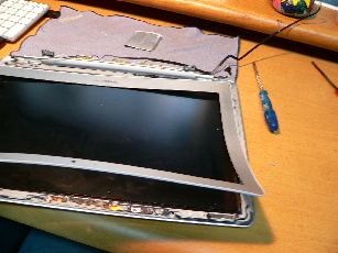 P1040805-2010-11-13-11-312.jpg