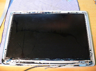 P1040806-2010-11-13-11-312.jpg