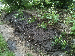 IMG_0565-2011-05-17-10-00.jpg