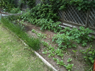 IMG_0567-2011-05-17-10-00.jpg