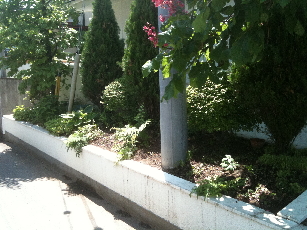 IMG_0581-2011-05-19-10-54.jpg