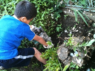 IMG_0642-2011-06-6-22-04.jpg