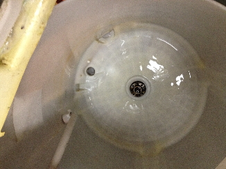 wpid-IMG_1998-2012-07-25-23-411.jpg
