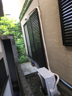 IMG_6379-2019-07-30-08-31.jpg