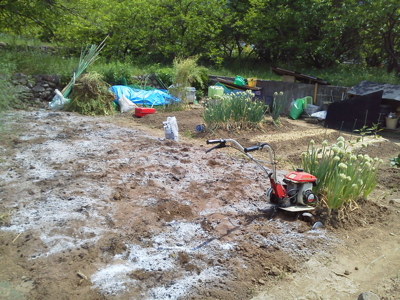 wpid-2015050710210000-2015-05-7-14-14.jpg