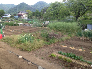 wpid-photo21-2015-05-4-23-57.jpg