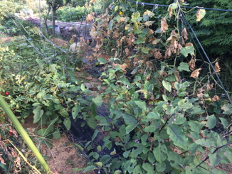 IMG_1698-2017-08-30-14-05.jpg