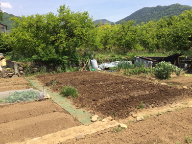 IMG_3541-2018-05-1-13-01.jpg