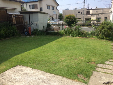 IMG_4408-2018-07-20-09-36.jpg