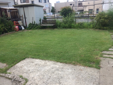 IMG_4888-2018-08-30-10-58.jpg