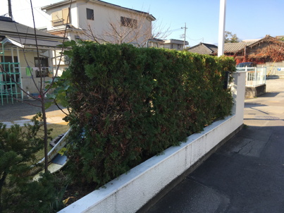 IMG_5565-2018-11-27-10-56.jpg