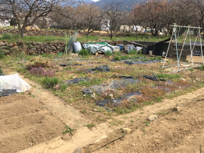 IMG_6003-2019-03-29-10-37.jpg