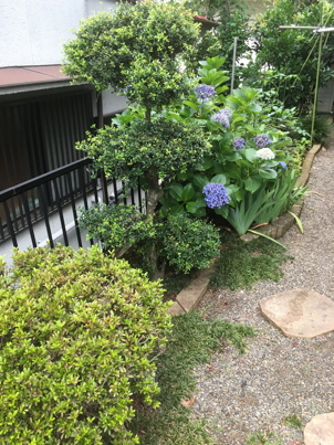 IMG_8761-2020-07-3-13-49.jpg
