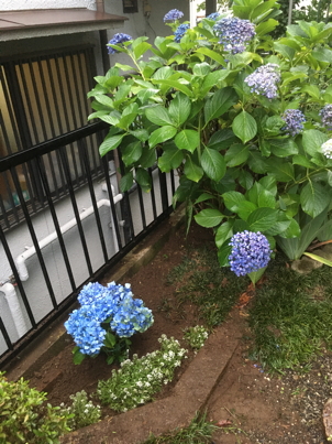 IMG_8774-2020-07-3-13-49.jpg