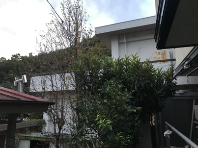 IMG_4464-2022-11-16-10-50.jpg