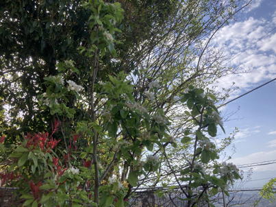 IMG_2040-2024-04-16-13-45.jpg